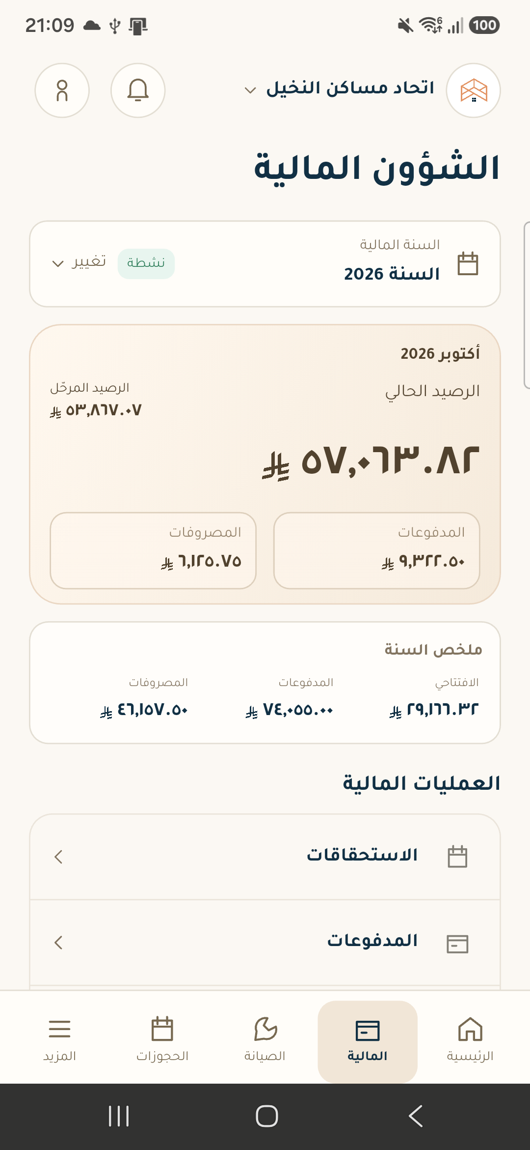 الملخص المالي